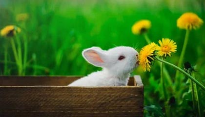 开云官网-FPX逆转RGE，Oner惊艳世界：英雄归来的华丽篇章