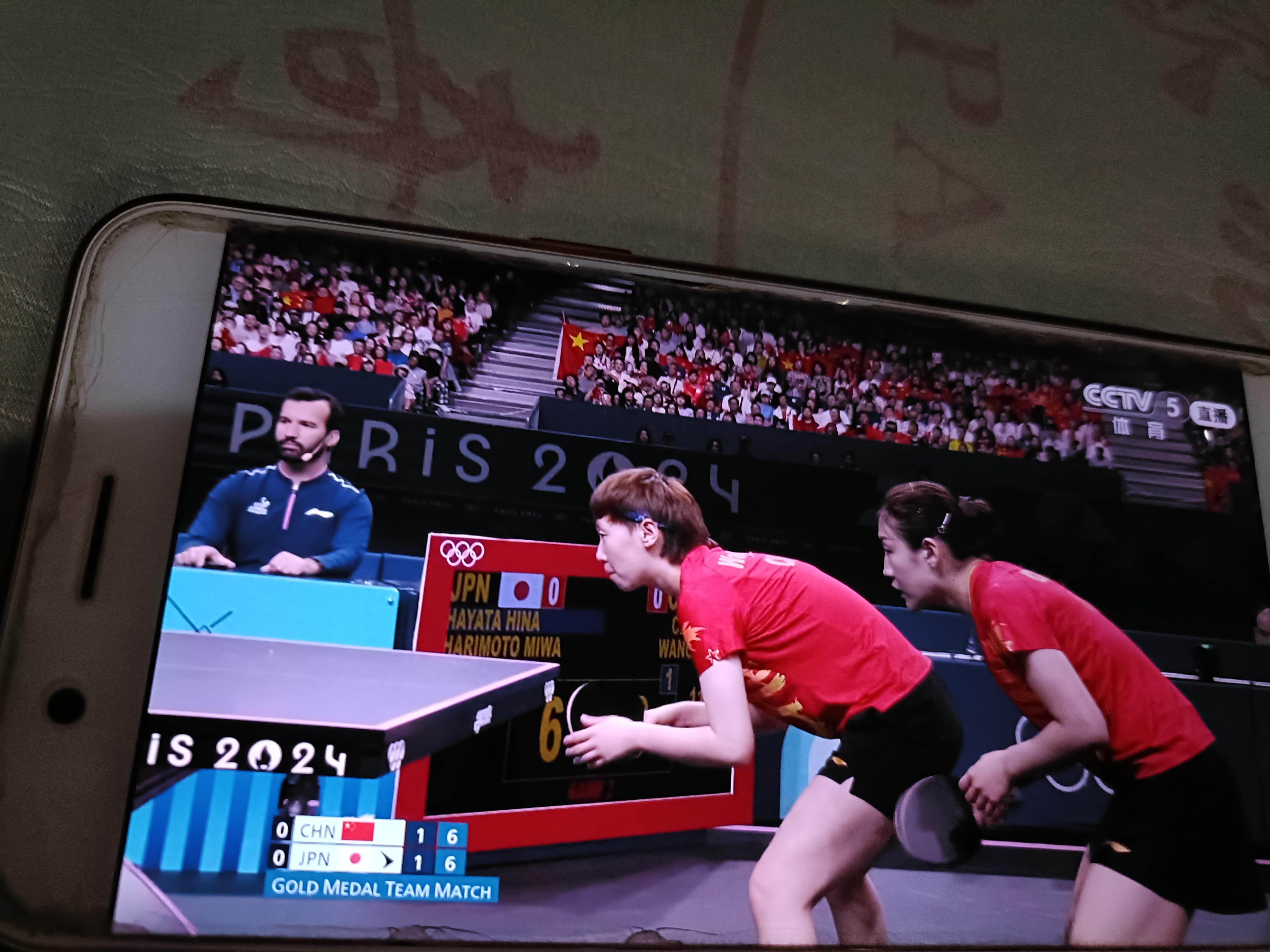 法国队横扫日本队，许昕点燃赛场