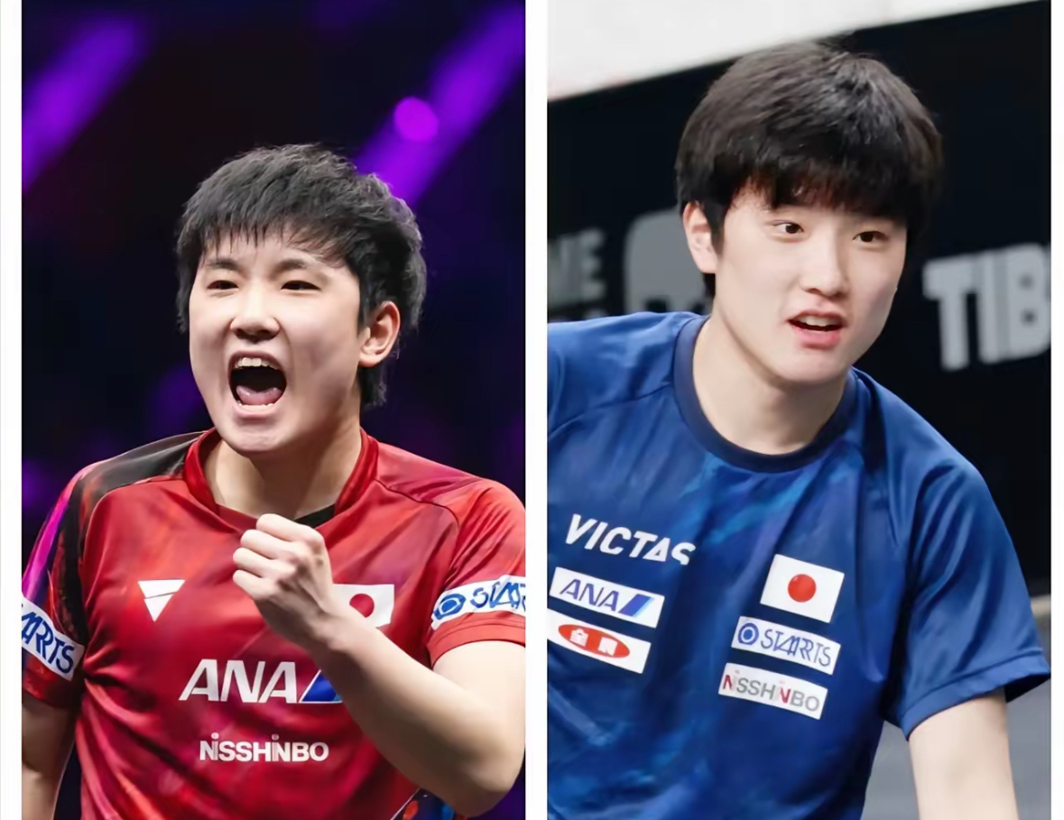 开云体育-瑞典队完胜韩国队，张本智和刷新纪录