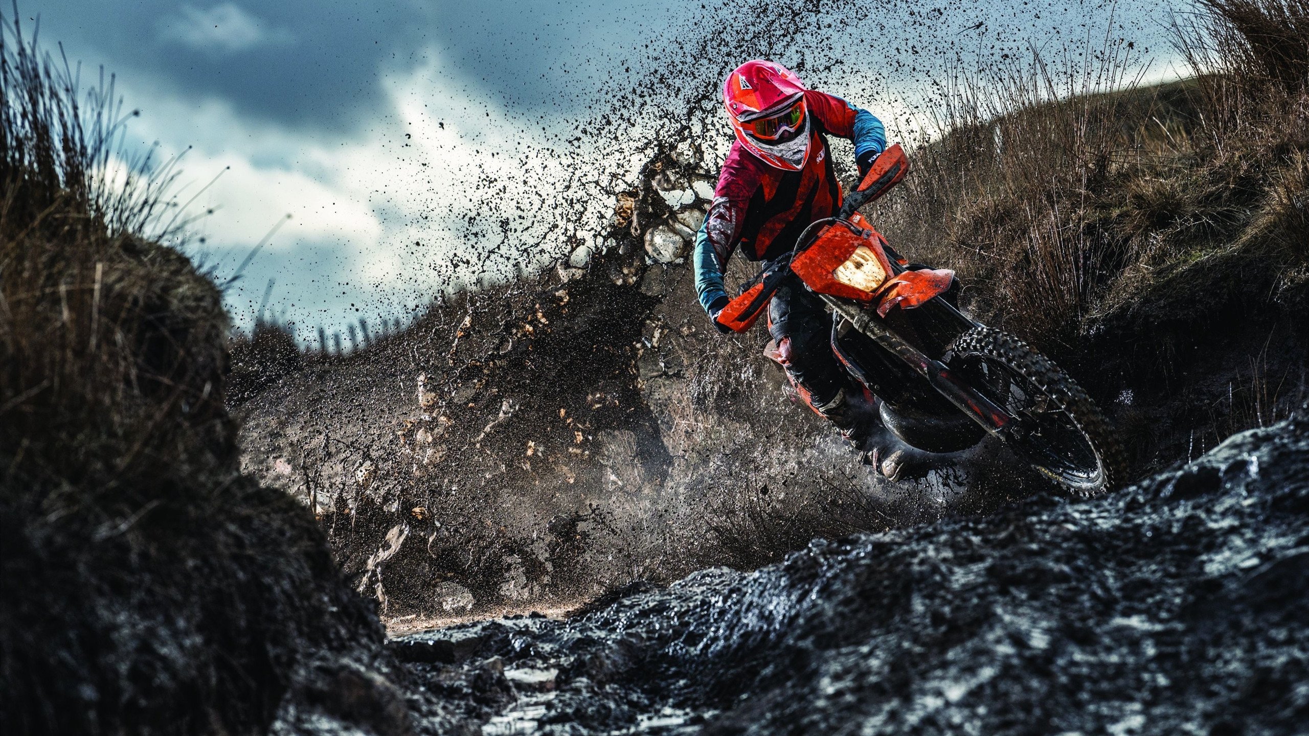 开云体育app-字母哥关键战凭什么不手软？解密希腊怪兽的终极兵器库